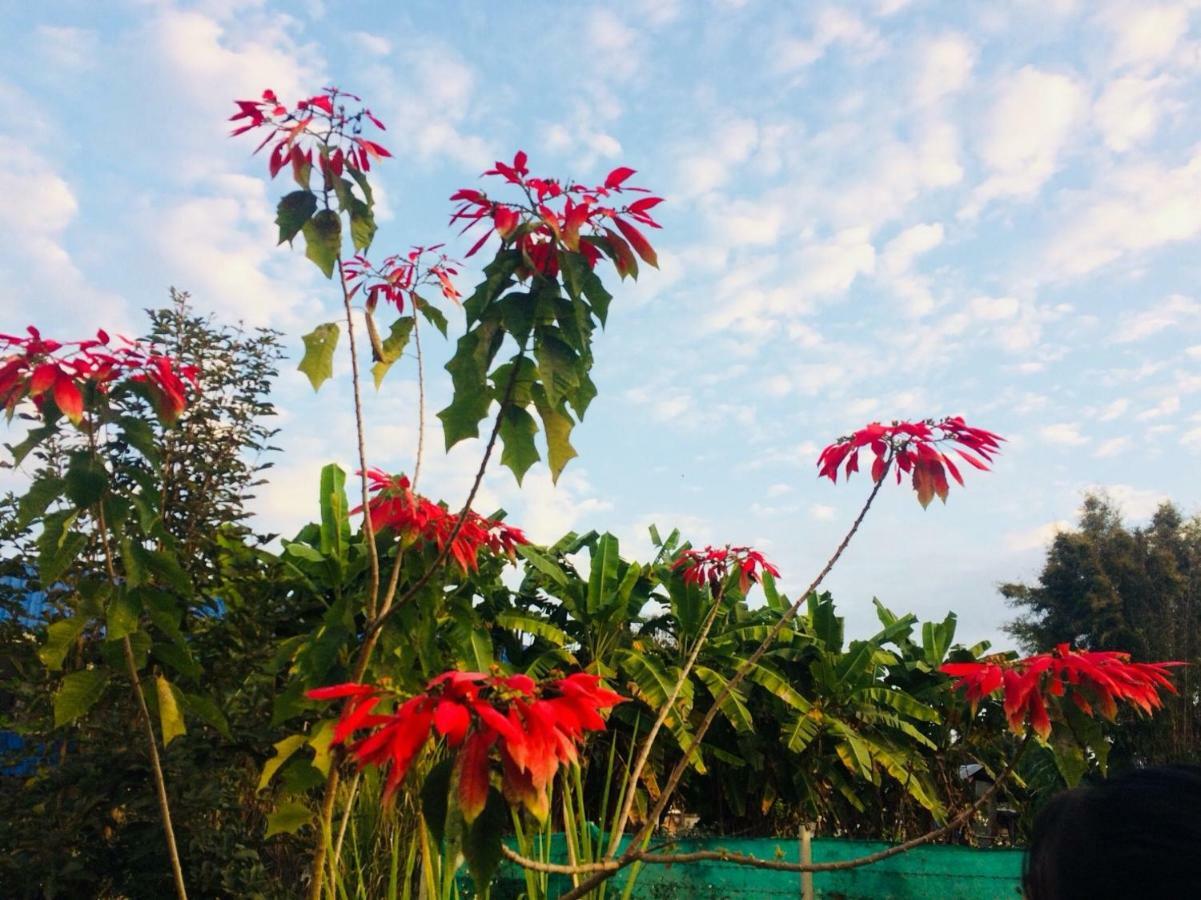 Phu Chaem House Hotel Mae Chaem Luaran gambar